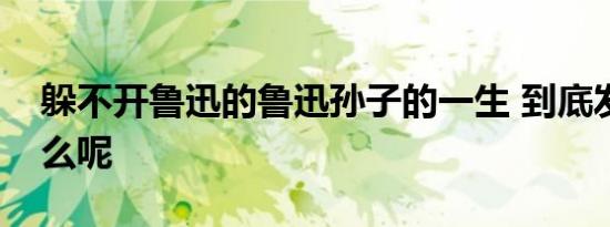 躲不开鲁迅的鲁迅孙子的一生 到底发生了什么呢
