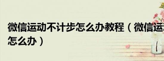 微信运动不计步怎么办教程（微信运动不计步怎么办）