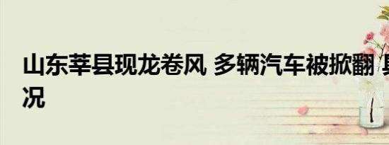 山东莘县现龙卷风 多辆汽车被掀翻 具体啥情况