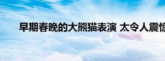早期春晚的大熊猫表演 太令人震惊了