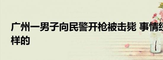 广州一男子向民警开枪被击毙 事情经过是怎样的