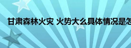 甘肃森林火灾 火势大么具体情况是怎样的