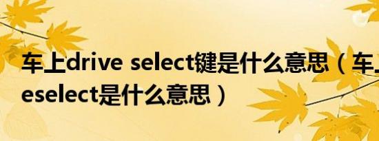 车上drive select键是什么意思（车上的driveselect是什么意思）