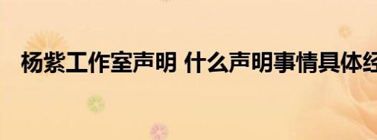 杨紫工作室声明 什么声明事情具体经过是