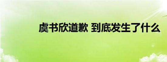 虞书欣道歉 到底发生了什么