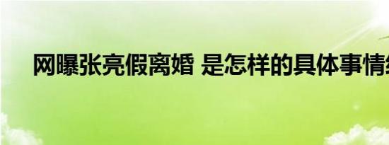 网曝张亮假离婚 是怎样的具体事情经过
