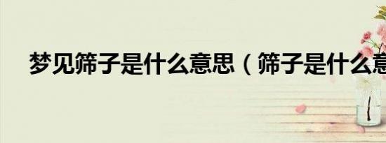 梦见筛子是什么意思（筛子是什么意思）