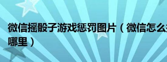 微信摇骰子游戏惩罚图片（微信怎么摇骰子在哪里）
