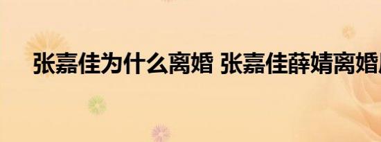 张嘉佳为什么离婚 张嘉佳薛婧离婚原因