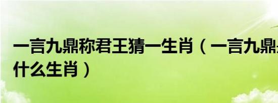 一言九鼎称君王猜一生肖（一言九鼎是君王是什么生肖）
