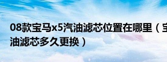 08款宝马x5汽油滤芯位置在哪里（宝马x5汽油滤芯多久更换）