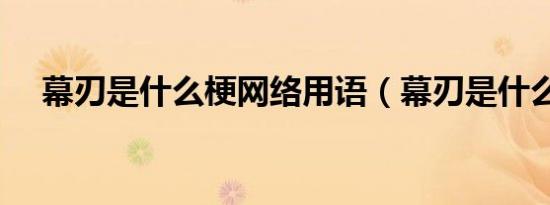 幕刃是什么梗网络用语（幕刃是什么梗）