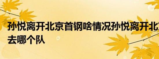 孙悦离开北京首钢啥情况孙悦离开北京首钢将去哪个队