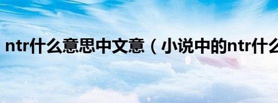ntr什么意思中文意（小说中的ntr什么意思）