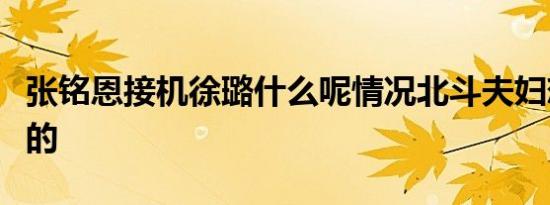 张铭恩接机徐璐什么呢情况北斗夫妇恋情是真的
