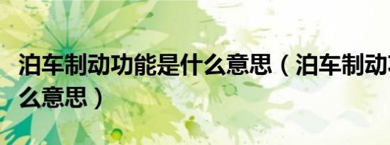 泊车制动功能是什么意思（泊车制动功能是什么意思）