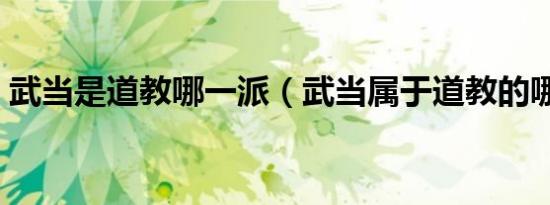 武当是道教哪一派（武当属于道教的哪一派）