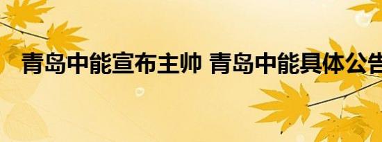 青岛中能宣布主帅 青岛中能具体公告内容