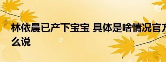 林依晨已产下宝宝 具体是啥情况官方回应怎么说
