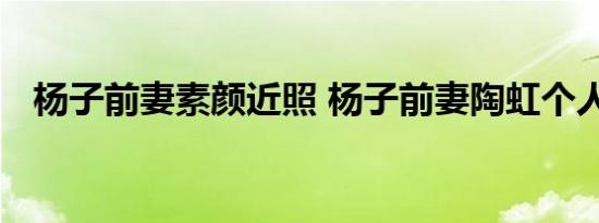 杨子前妻素颜近照 杨子前妻陶虹个人资料