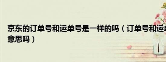 京东的订单号和运单号是一样的吗（订单号和运单号是一个意思吗）