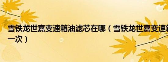 雪铁龙世嘉变速箱油滤芯在哪（雪铁龙世嘉变速箱油多久换一次）