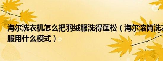 海尔洗衣机怎么把羽绒服洗得蓬松（海尔滚筒洗衣机洗羽绒服用什么模式）
