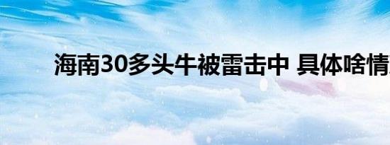 海南30多头牛被雷击中 具体啥情况