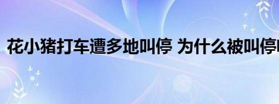 花小猪打车遭多地叫停 为什么被叫停啥情况