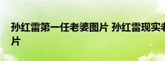 孙红雷第一任老婆图片 孙红雷现实老婆的照片