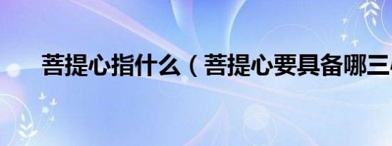 菩提心指什么（菩提心要具备哪三心）