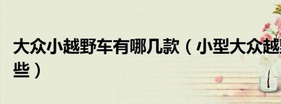 大众小越野车有哪几款（小型大众越野车有哪些）