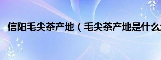 信阳毛尖茶产地（毛尖茶产地是什么地方）