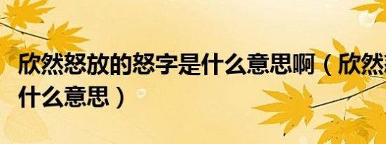 欣然怒放的怒字是什么意思啊（欣然怒放的怒什么意思）