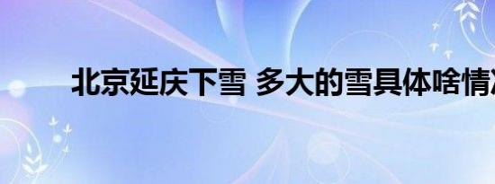 北京延庆下雪 多大的雪具体啥情况