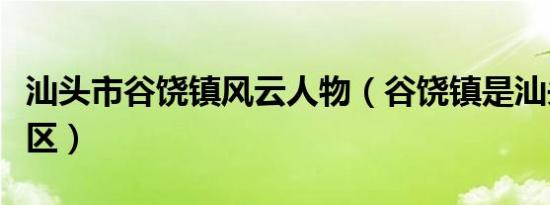 汕头市谷饶镇风云人物（谷饶镇是汕头市哪个区）