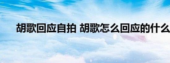 胡歌回应自拍 胡歌怎么回应的什么P图