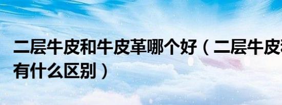二层牛皮和牛皮革哪个好（二层牛皮和牛皮革有什么区别）