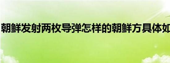 朝鲜发射两枚导弹怎样的朝鲜方具体如何回应