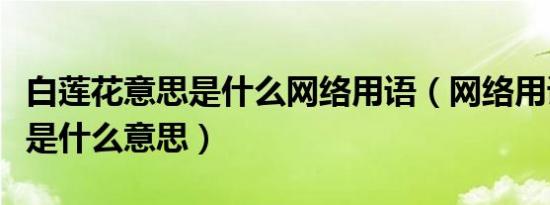 白莲花意思是什么网络用语（网络用语白莲花是什么意思）