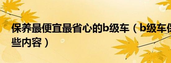 保养最便宜最省心的b级车（b级车保养做哪些内容）