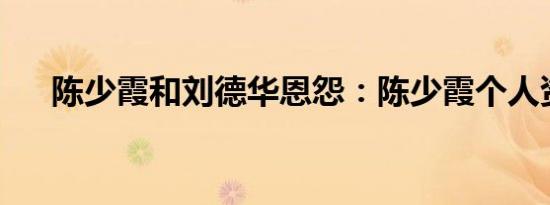 陈少霞和刘德华恩怨：陈少霞个人资料