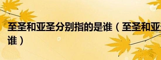 至圣和亚圣分别指的是谁（至圣和亚圣分别是谁）