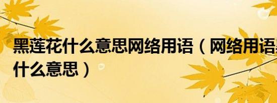 黑莲花什么意思网络用语（网络用语黑莲花是什么意思）