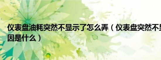 仪表盘油耗突然不显示了怎么弄（仪表盘突然不显示油耗原因是什么）