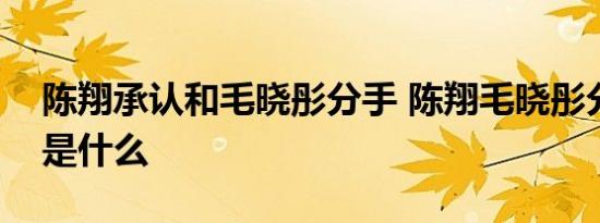 陈翔承认和毛晓彤分手 陈翔毛晓彤分手原因是什么