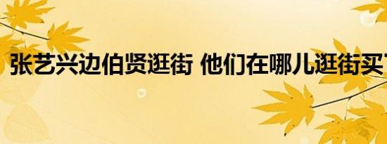 张艺兴边伯贤逛街 他们在哪儿逛街买了什么
