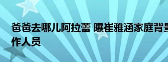 爸爸去哪儿阿拉蕾 曝崔雅涵家庭背景吓到工作人员