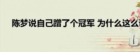 陈梦说自己蹭了个冠军 为什么这么说呢