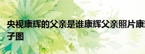 央视康辉的父亲是谁康辉父亲照片康辉老婆儿子图
